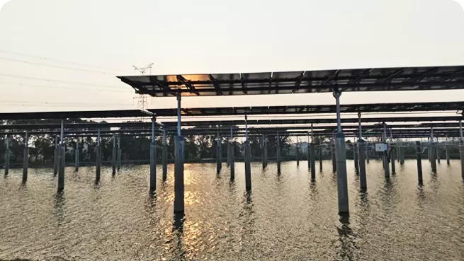 Agrivoltaics (Fishery-Solar Complementary)